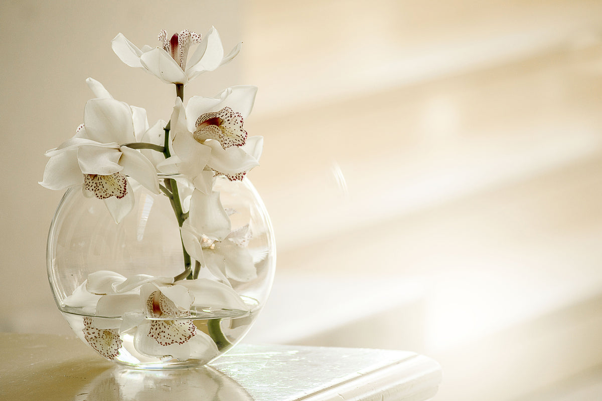 canvas-print-orchid-in-the-glass