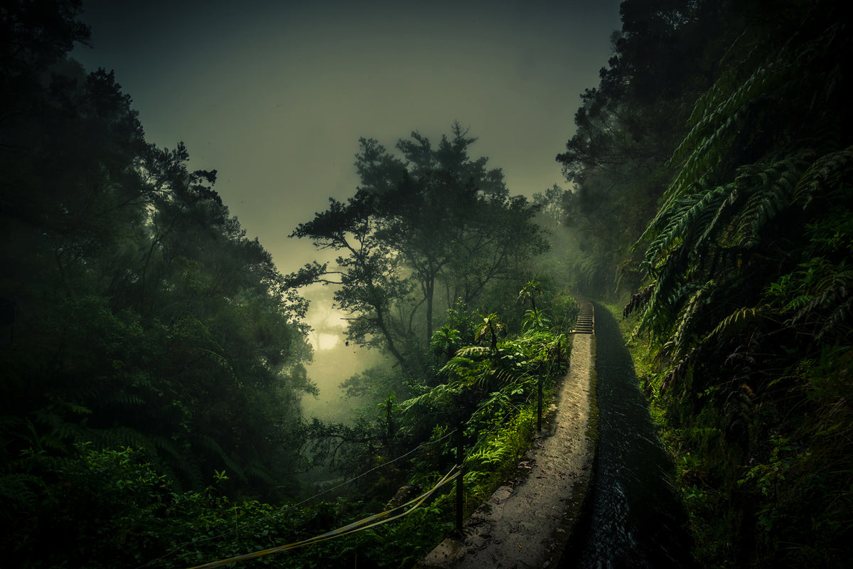 acrylic-print-levada-walk-x
