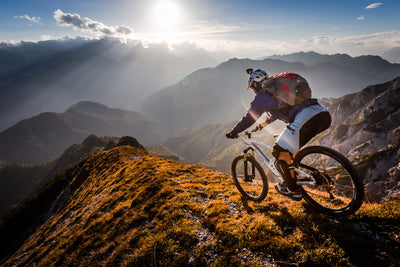 poster-print-the-call-of-the-mountain