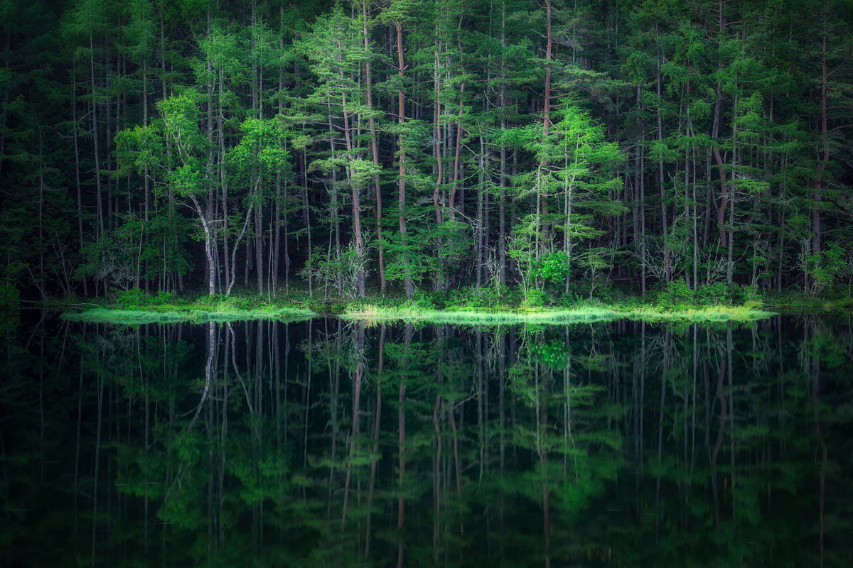 aluminium-print-green-world-x
