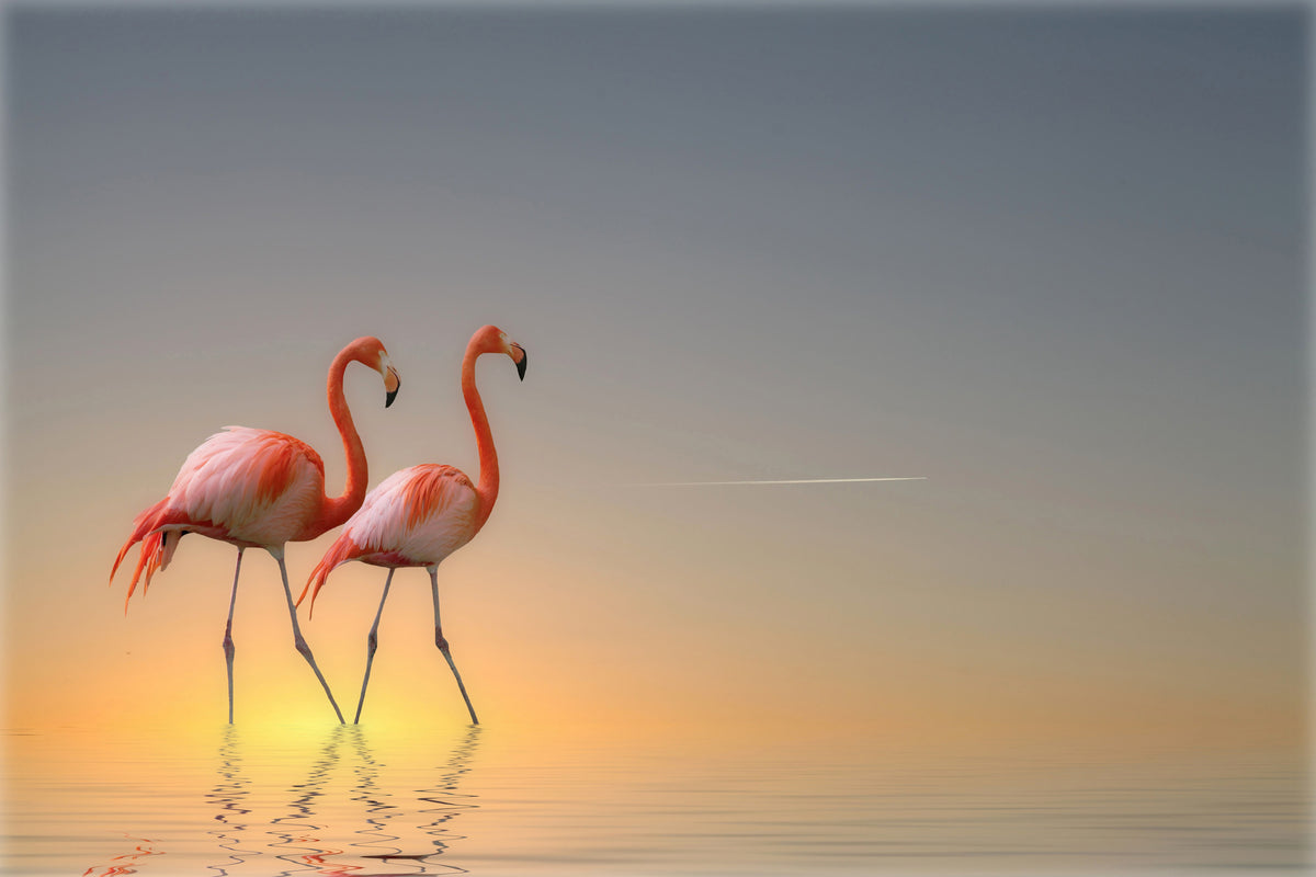 framedcanvas-print-serenity-ii