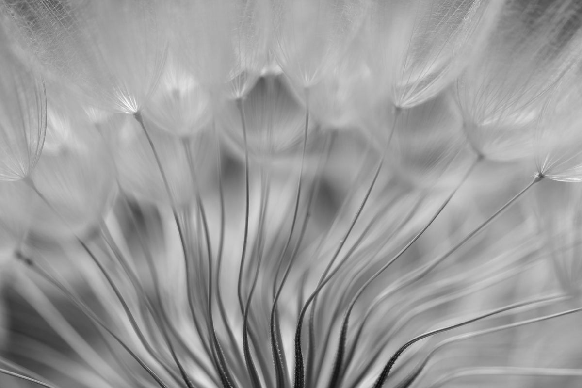 aluminium-print-dream-xir