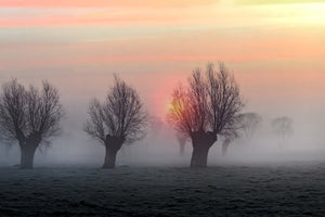 modern-3-piece-aluminium-print-the-shadow-of-time