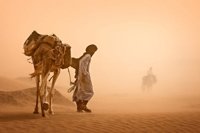 poster-print-sand-storm-x