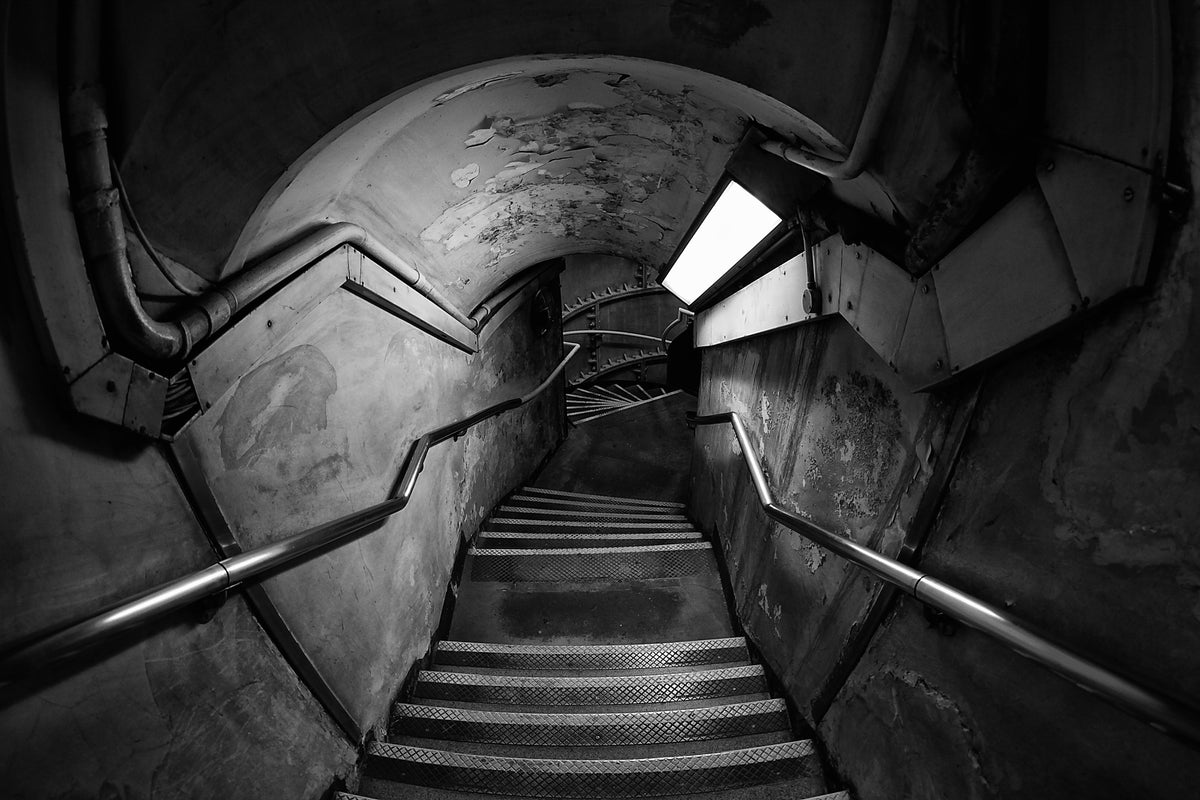 acrylic-print-down-the-rabbit-hole-x