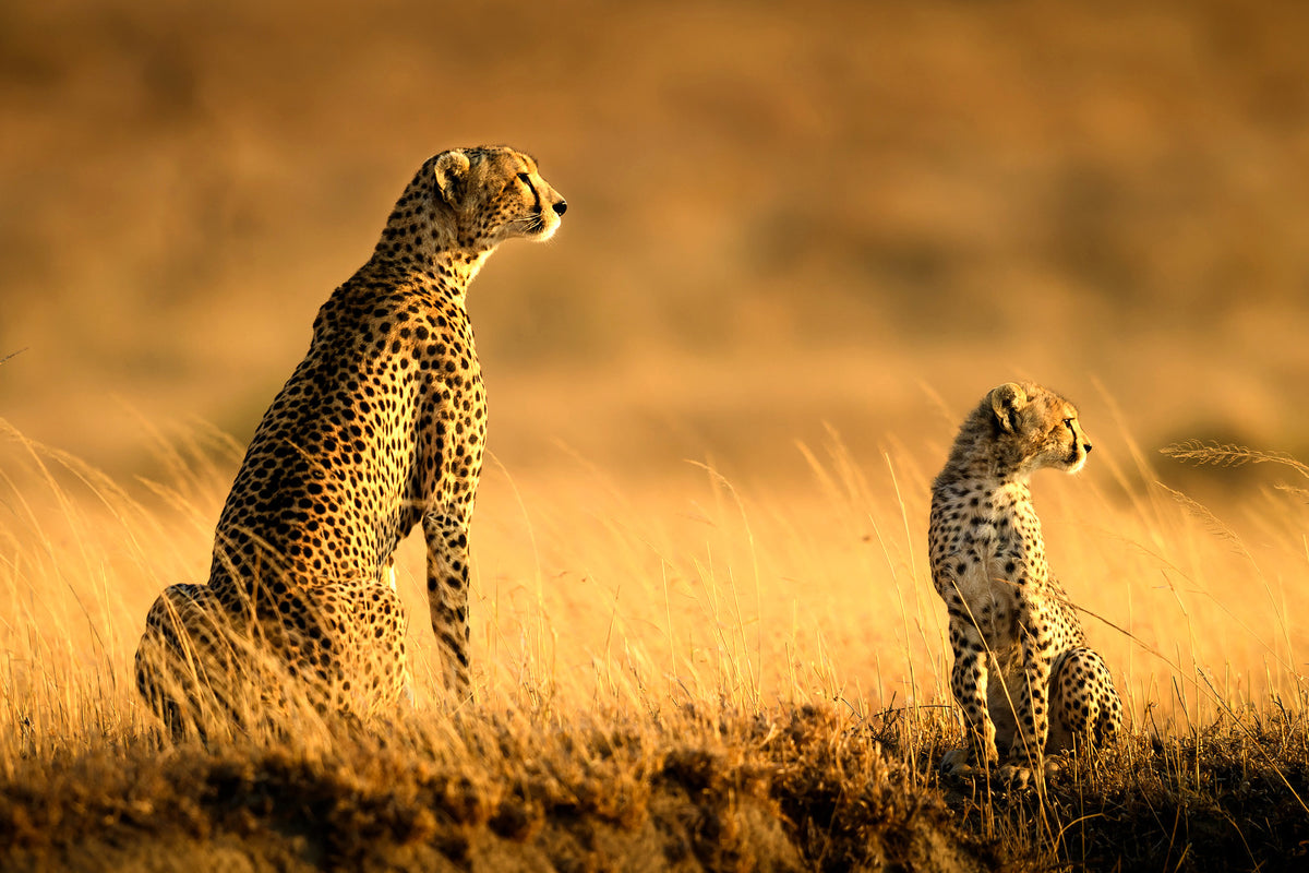 canvas-print-mum-and-son-x