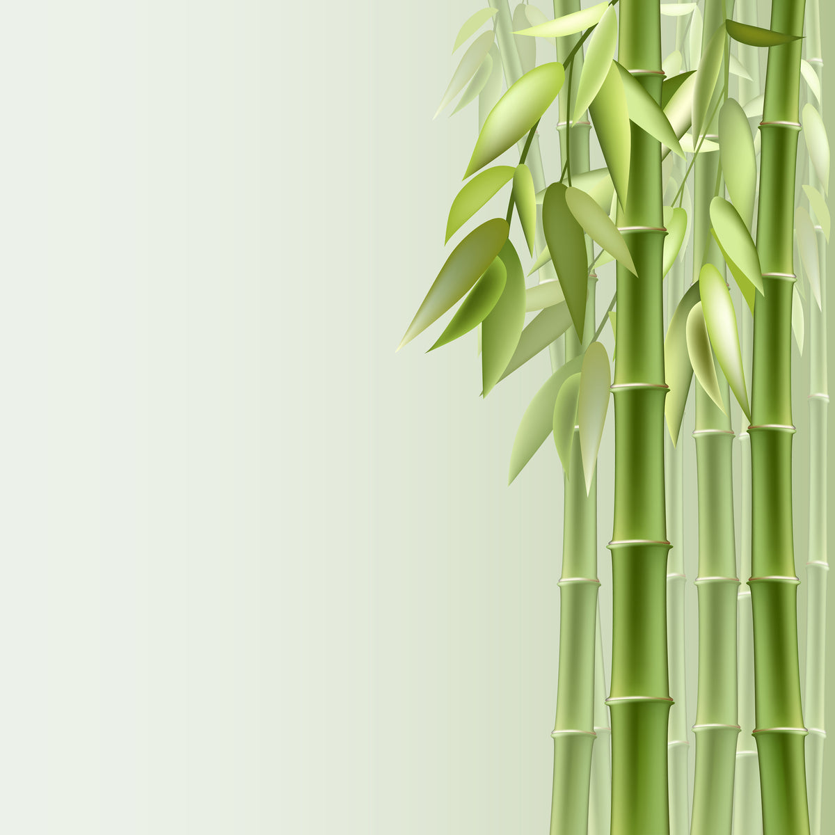 aluminium-print-green-bamboo
