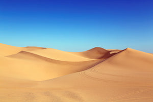 3-piece-acrylic-print-beauty-desert