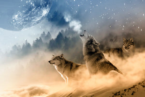 3-piece-acrylic-print-the-world-of-wolves