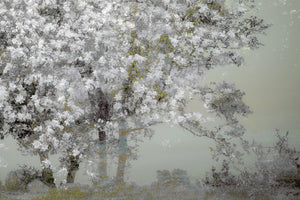 framedcanvas-print-spring-xep