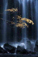 acrylic-print-yellow-autumn