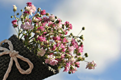 poster-print-the-gypsophila