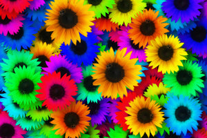 framedcanvas-print-colorful-sunflowers