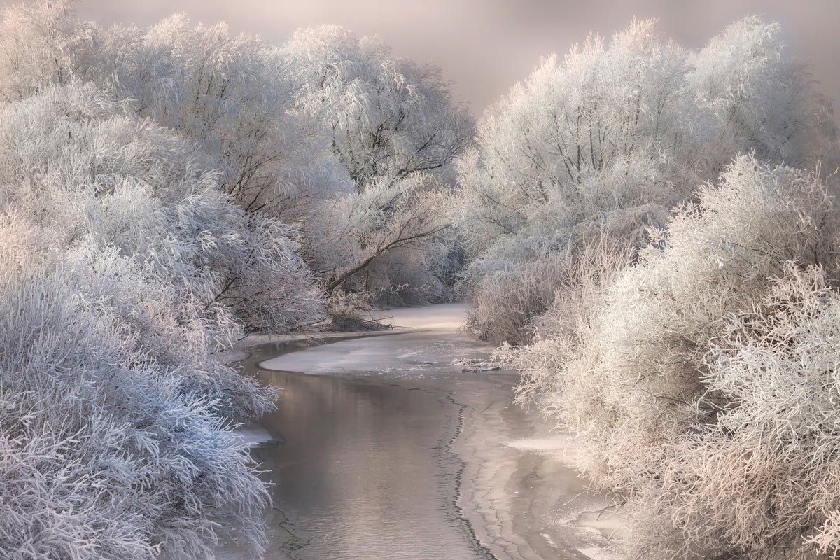 aluminium-print-winter-song-x