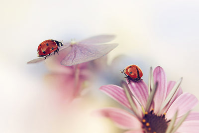 poster-print-last-days-of-summer-x