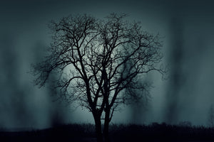 modern-3-piece-canvas-print-the-tree-in-darkness