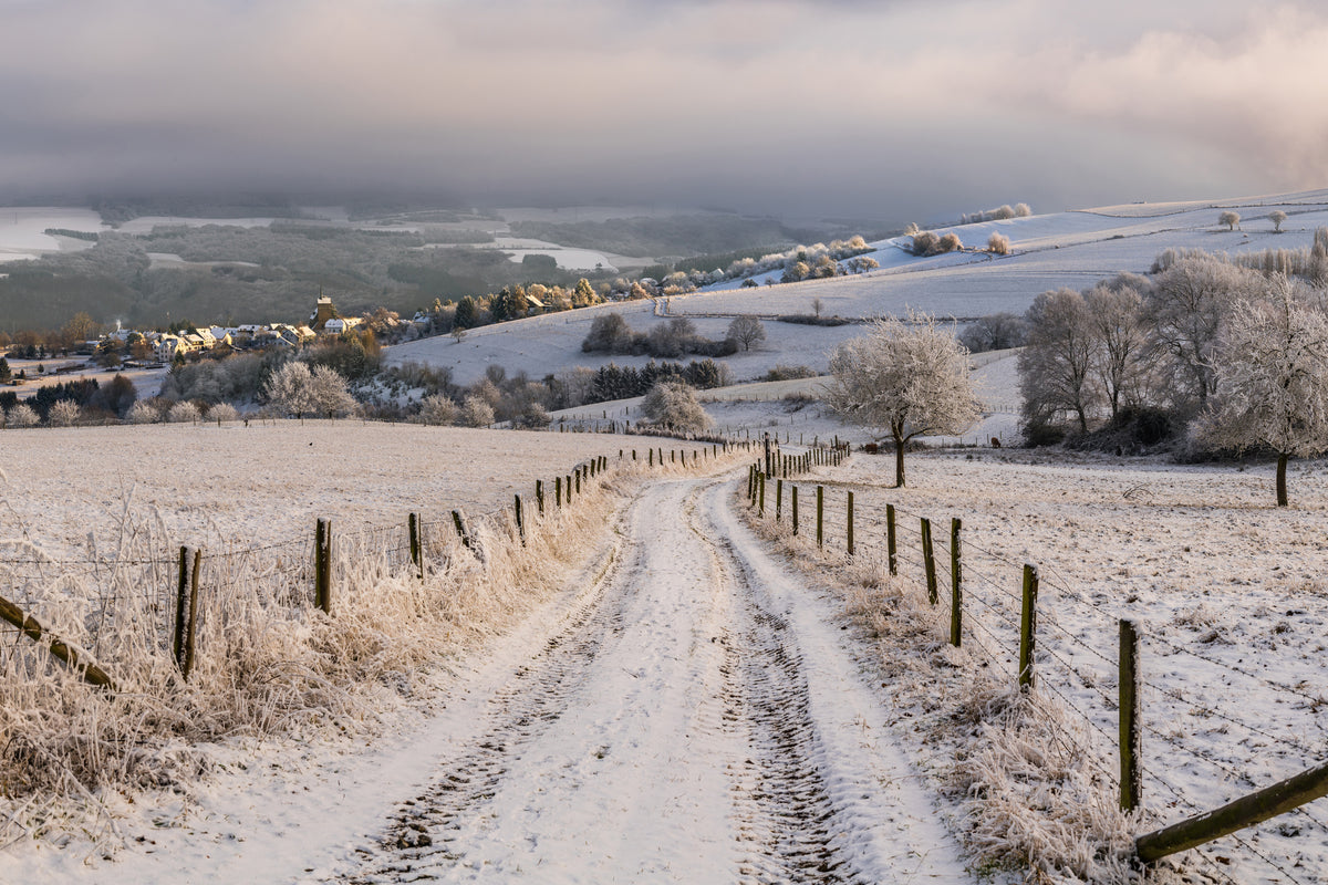 aluminium-print-winter-wonderland