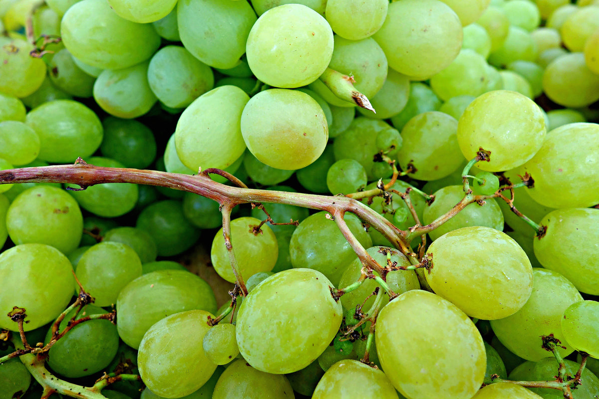 poster-print-green-grapes