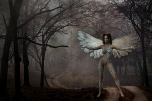 framedcanvas-print-fantasy-in-the-forest