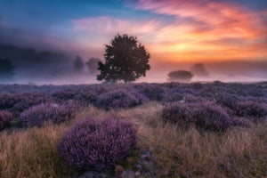 canvas-print-qautumn-longingq-x