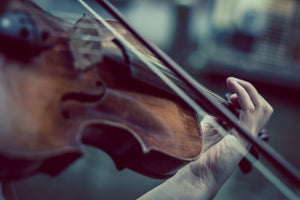 3-piece-acrylic-print-violin