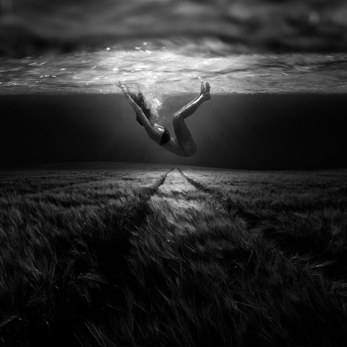 4-piece-canvas-print-underwaterlandream