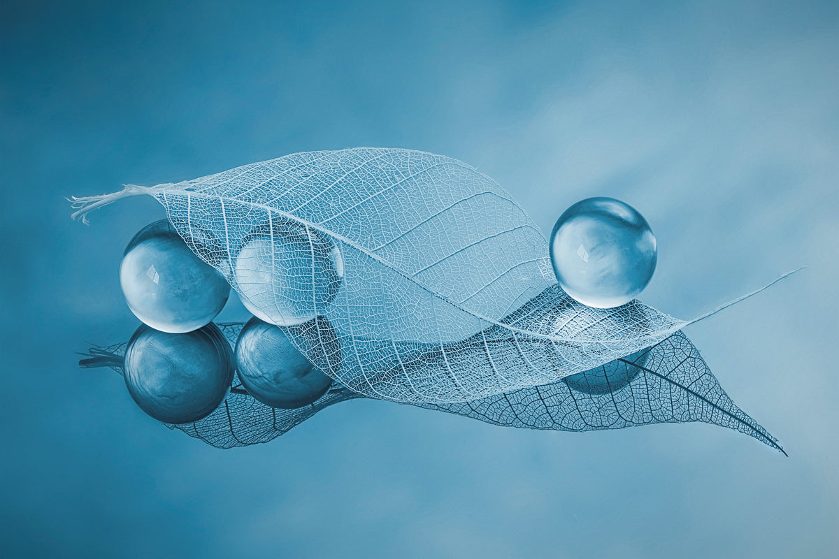 aluminium-print-dry-leaf-and-bubbles-x