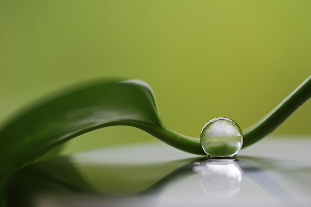 aluminium-print-green-harmony-x