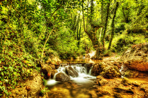 poster-print-waterfall-in-the-forest