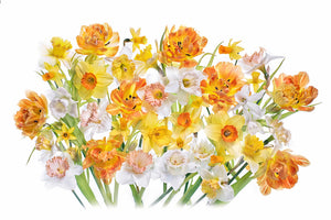 acrylic-print-spirited-x