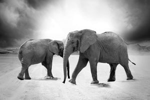 3-piece-canvas-print-2-elephants-sw