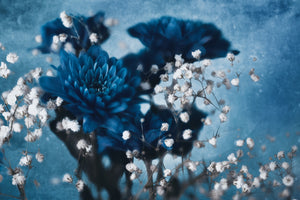 framedposter-print-dahlia-xjd