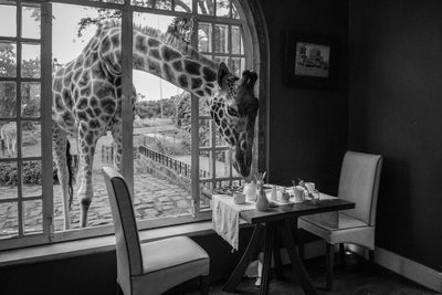 poster-print-breakfast-time-x