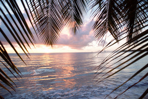 modern-3-piece-aluminium-print-under-palm-leaves