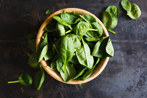 framedposter-print-leaves-of-basil-iii
