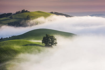 poster-print-green-hills-x