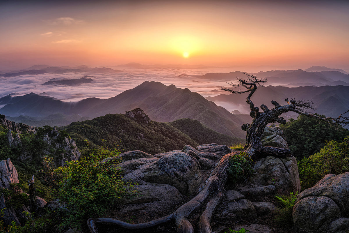 framedposter-print-sunrise-on-top-x