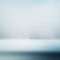 4-piece-acrylic-print-wild-geese