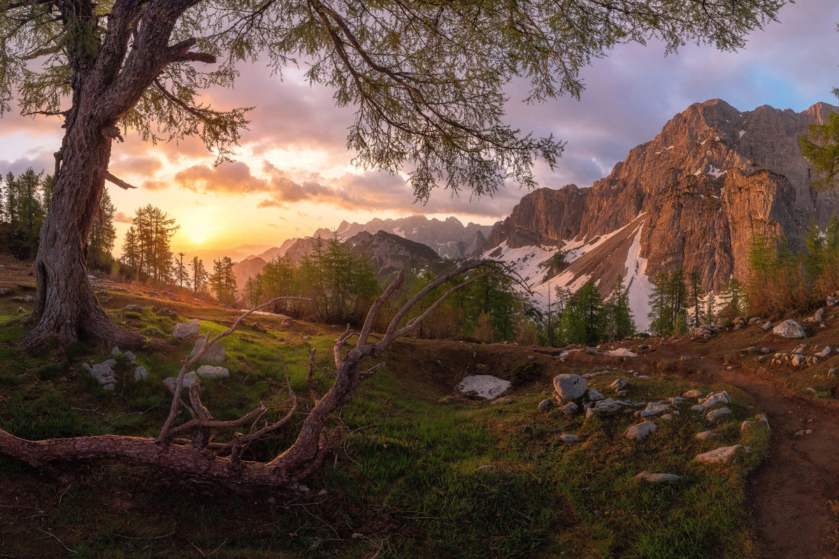 canvas-print-magical-morning-xzs
