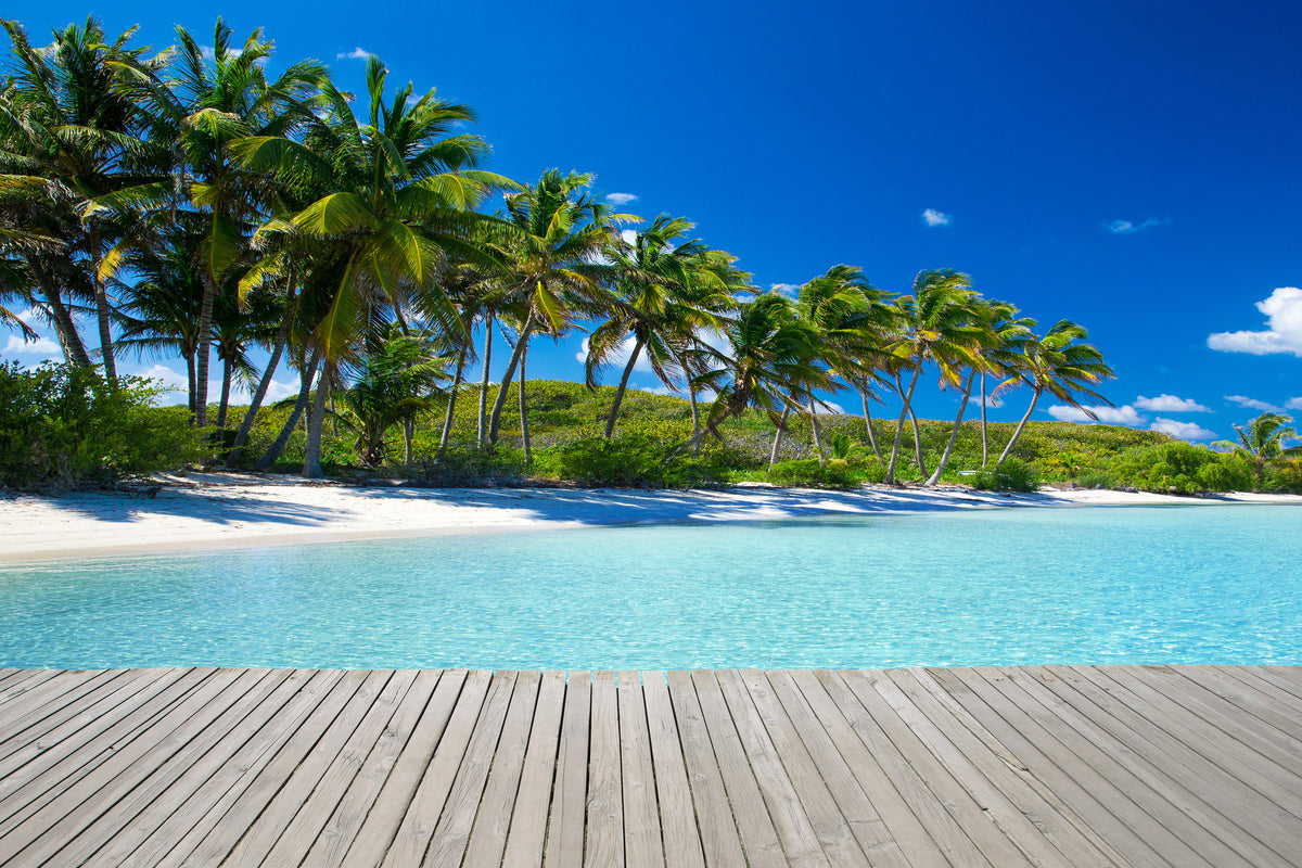 acrylic-print-beach-palms