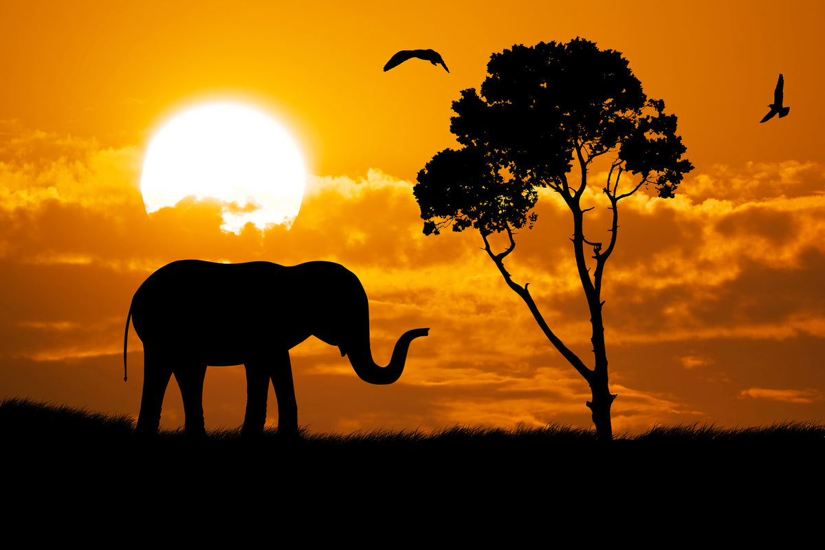 3-piece-aluminium-print-dreamy-africa