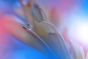 3-piece-acrylic-print-touch-me-softly