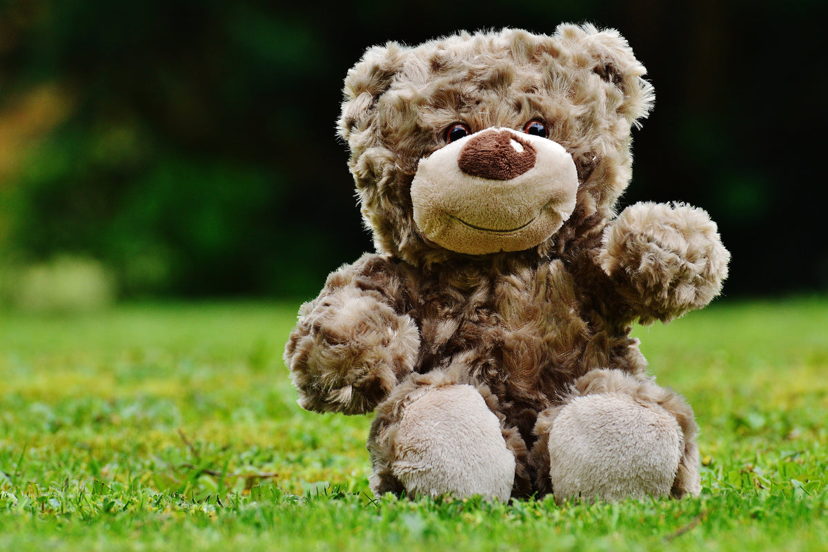 3-piece-canvas-print-happy-teddy-bear