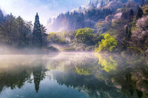 acrylic-print-morning-calm