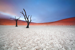 aluminium-print-mist-over-deadvlei-x