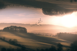 framedposter-print-interplanar