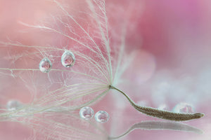 canvas-print-two-of-us-x