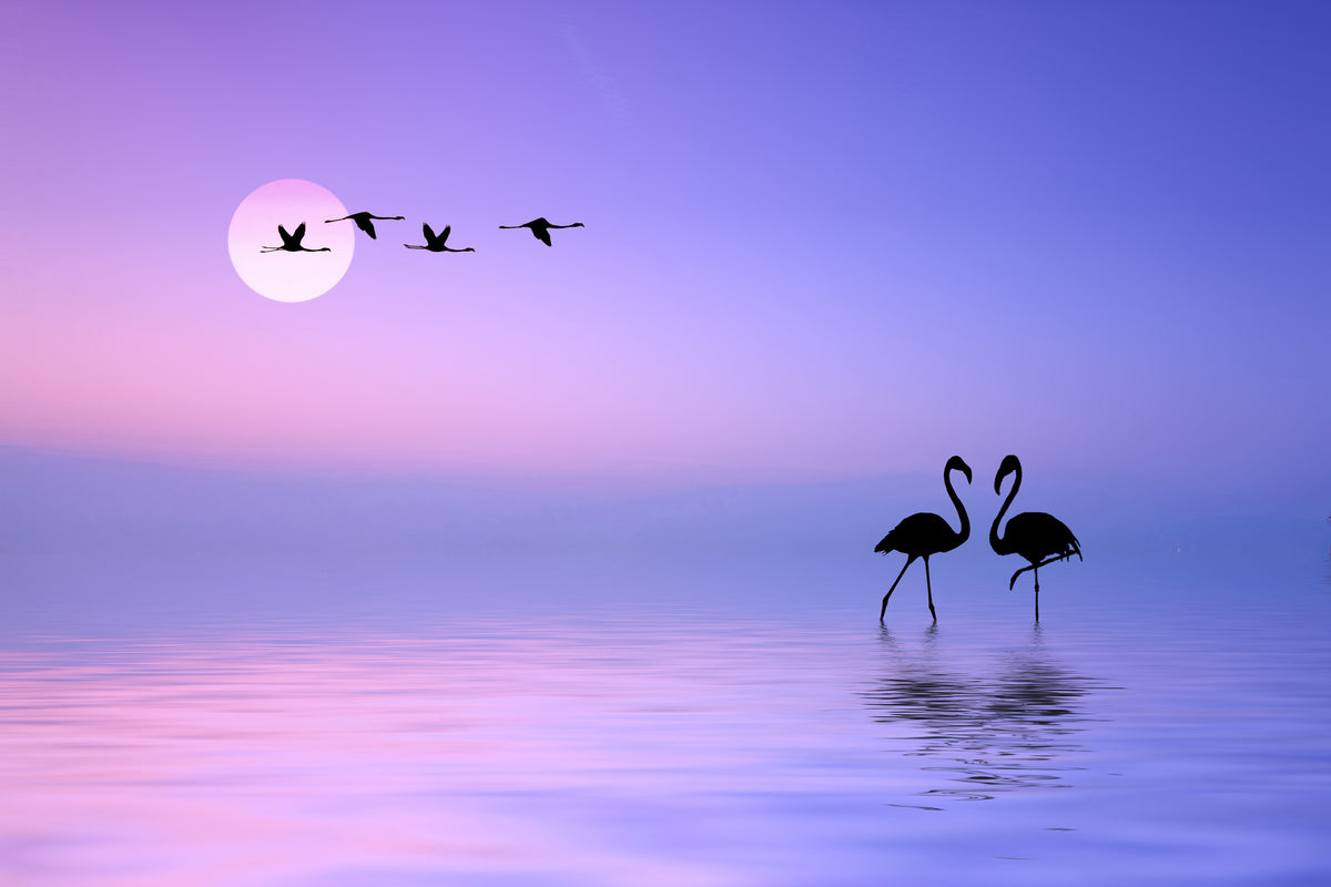 canvas-print-flying-flamingo-x