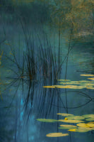 framedcanvas-print-aqua