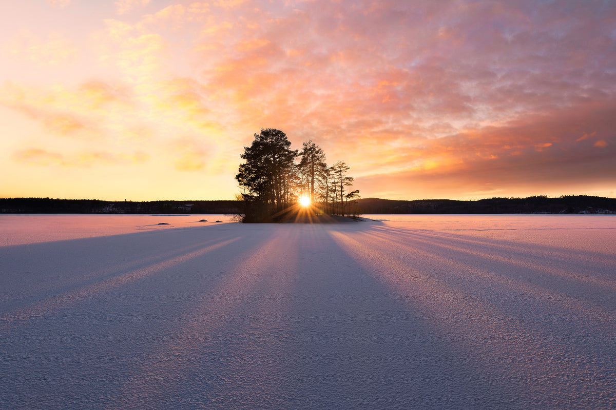 framedcanvas-print-sun-kissed